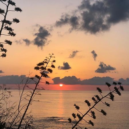"Suliscenti" Dimora Siciliana B&B Avola Dış mekan fotoğraf