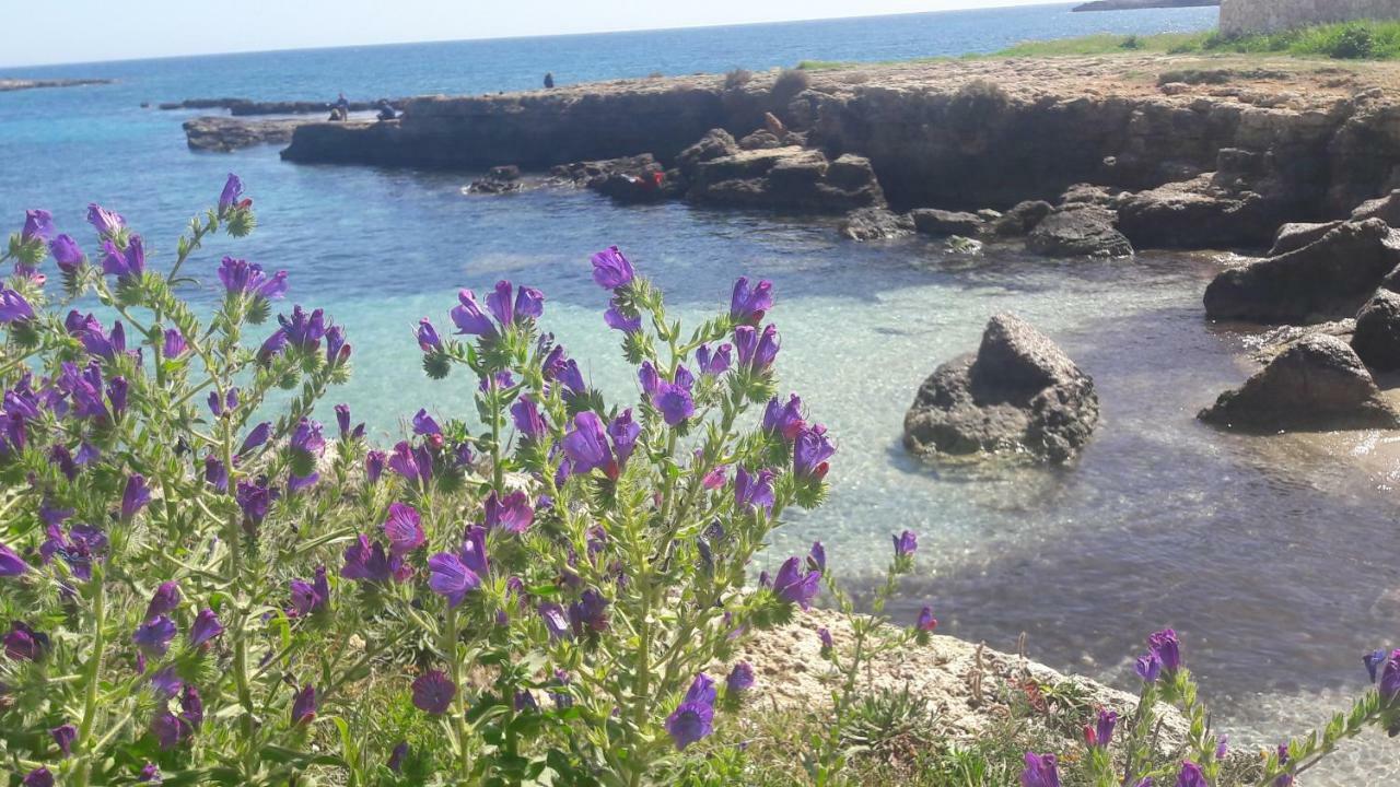 "Suliscenti" Dimora Siciliana B&B Avola Dış mekan fotoğraf