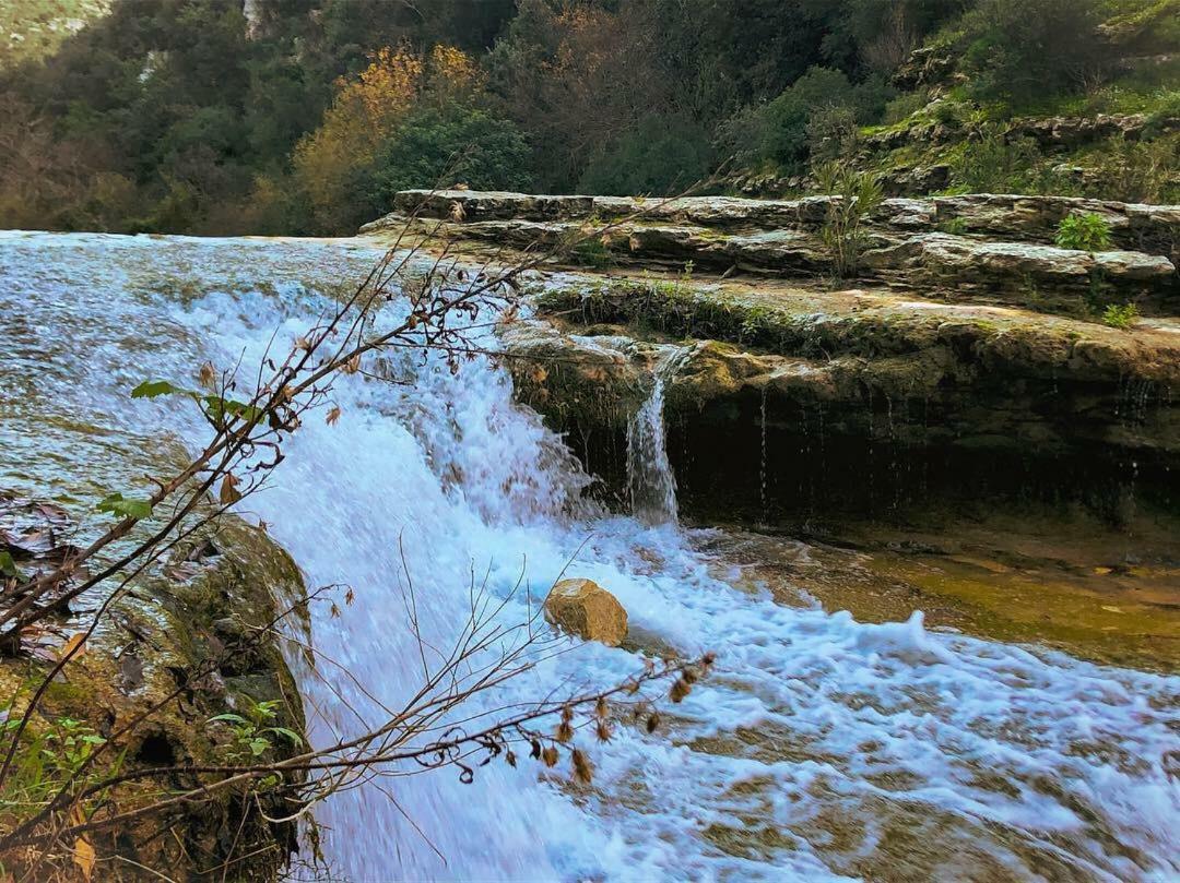 "Suliscenti" Dimora Siciliana B&B Avola Dış mekan fotoğraf